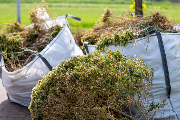 Best Hot Tub Removal  in Pine, AZ